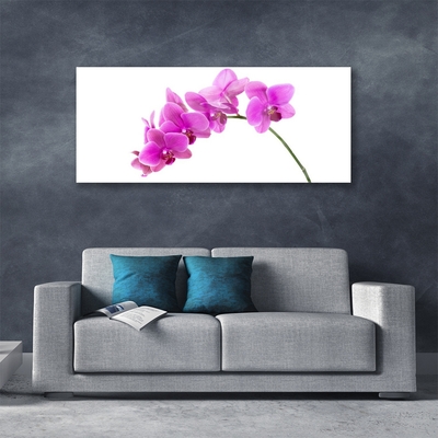 Quadro acrilico Orchidea Fiore di orchidea