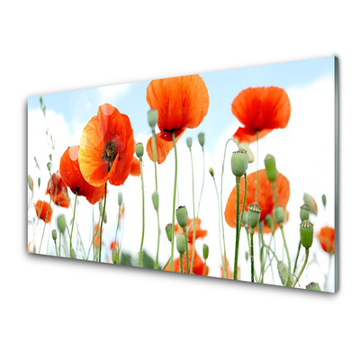 Quadro in vetro acrilico Prato Papaveri Fiori Natura Campo