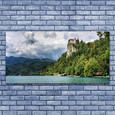 Quadro acrilico Castello nel paesaggio della foresta delle montagne