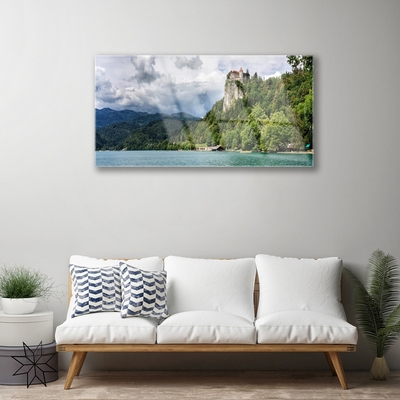 Quadro acrilico Castello nel paesaggio della foresta delle montagne