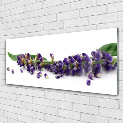 Quadro su vetro acrilico Natura morta di lavanda