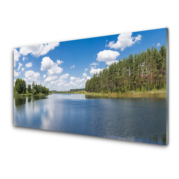 Quadro in vetro acrilico Paesaggio della foresta del lago