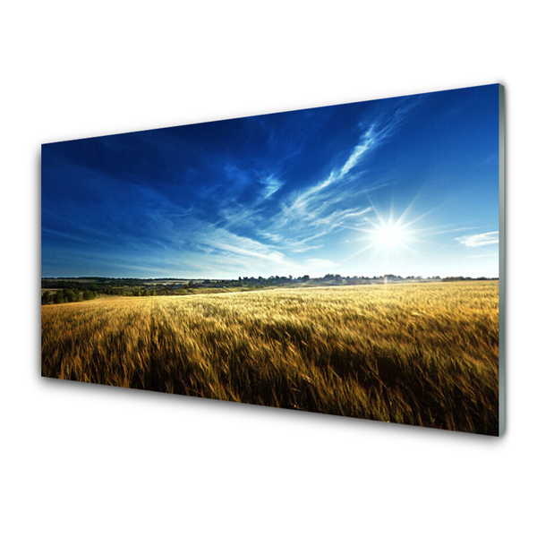 Quadro acrilico Paesaggio del sole del campo di mais