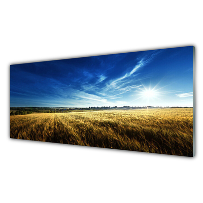 Quadro acrilico Paesaggio del sole del campo di mais