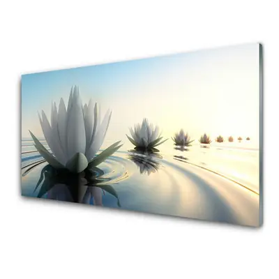 Quadro In Plexiglas, Stampa Su Vetro Acrilico In Plexiglas, Da