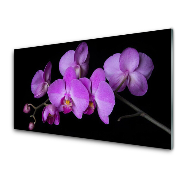 Quadro su vetro acrilico Orchidea Fiori di orchidea