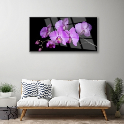 Quadro su vetro acrilico Orchidea Fiori di orchidea