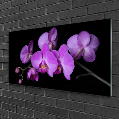 Quadro su vetro acrilico Orchidea Fiori di orchidea