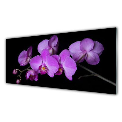 Quadro su vetro acrilico Orchidea Fiori di orchidea