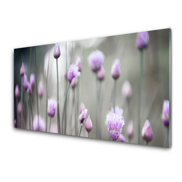 Quadro in vetro acrilico Fiori di campo della natura