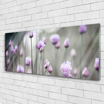 Quadro in vetro acrilico Fiori di campo della natura