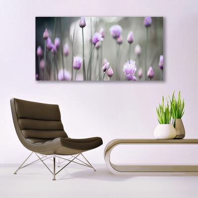 Quadro in vetro acrilico Fiori di campo della natura