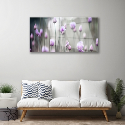 Quadro in vetro acrilico Fiori di campo della natura