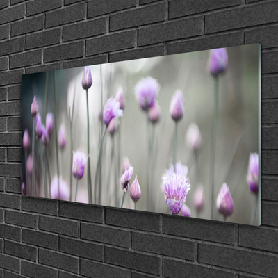 Quadro in vetro acrilico Fiori di campo della natura