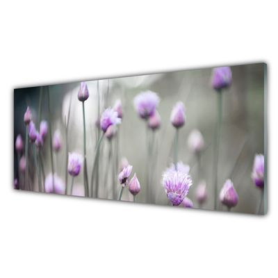 Quadro in vetro acrilico Fiori di campo della natura