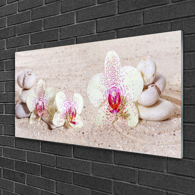 Quadro acrilico Orchidea Orchidea Sabbia