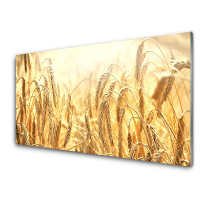 Quadro acrilico Campo di cereali Orecchie Natura