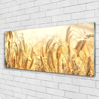 Quadro acrilico Campo di cereali Orecchie Natura