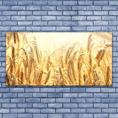 Quadro acrilico Campo di cereali Orecchie Natura