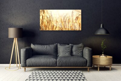 Quadro acrilico Campo di cereali Orecchie Natura