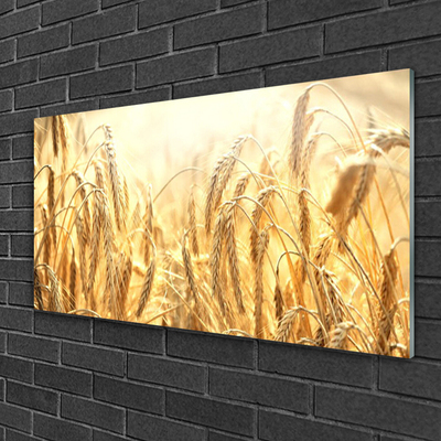 Quadro acrilico Campo di cereali Orecchie Natura