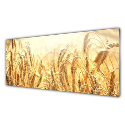 Quadro acrilico Campo di cereali Orecchie Natura