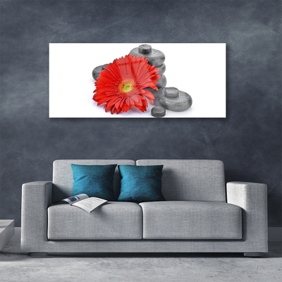 Quadro su vetro acrilico Fiori di gerbera rossa