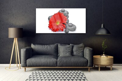 Quadro su vetro acrilico Fiori di gerbera rossa