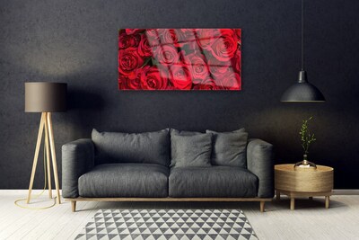 Quadro su vetro acrilico Fiori della natura delle rose rosse