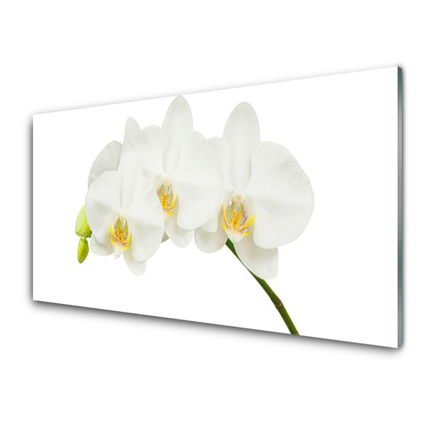 Quadro acrilico Gambi di orchidea Fiori Natura