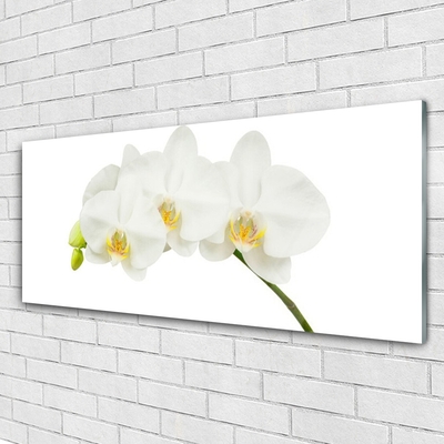 Quadro acrilico Gambi di orchidea Fiori Natura