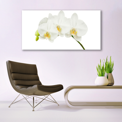 Quadro acrilico Gambi di orchidea Fiori Natura