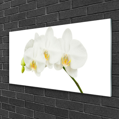 Quadro acrilico Gambi di orchidea Fiori Natura