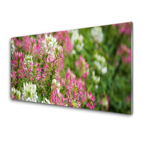 Quadro acrilico Fiori di campo della natura