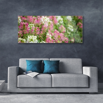 Quadro acrilico Fiori di campo della natura