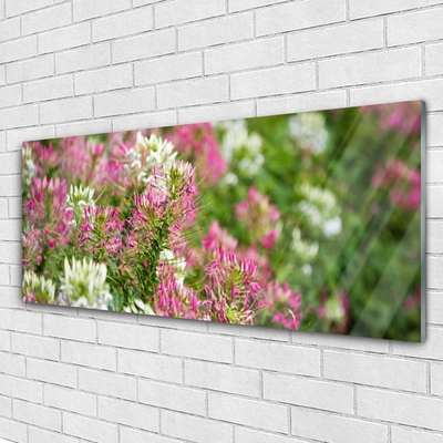 Quadro acrilico Fiori di campo della natura