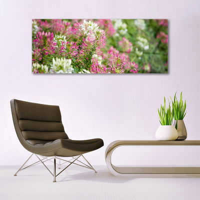 Quadro acrilico Fiori di campo della natura