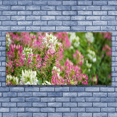 Quadro acrilico Fiori di campo della natura