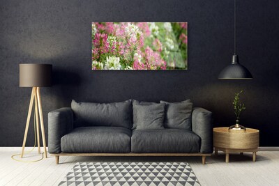 Quadro acrilico Fiori di campo della natura