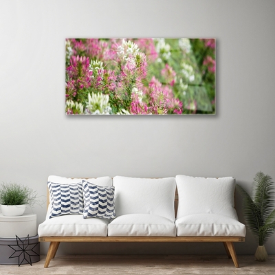 Quadro acrilico Fiori di campo della natura