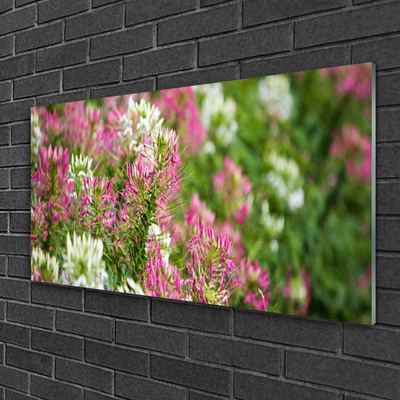 Quadro acrilico Fiori di campo della natura