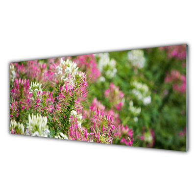 Quadro acrilico Fiori di campo della natura