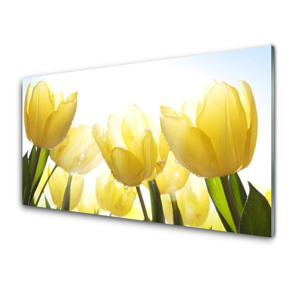 Quadro acrilico Tulipani, fiori, raggi