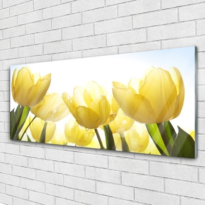 Quadro acrilico Tulipani, fiori, raggi