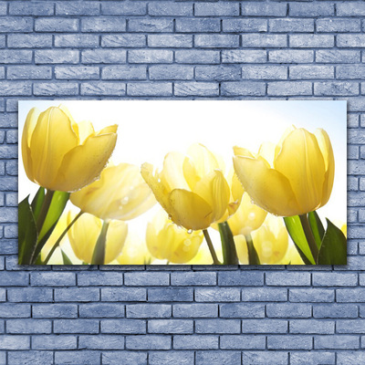 Quadro acrilico Tulipani, fiori, raggi