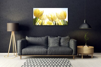 Quadro acrilico Tulipani, fiori, raggi