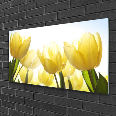 Quadro acrilico Tulipani, fiori, raggi