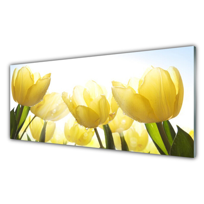 Quadro acrilico Tulipani, fiori, raggi