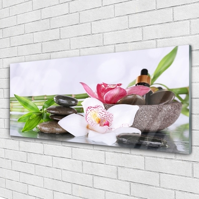 Quadro su vetro acrilico Fiori di orchidea bambù