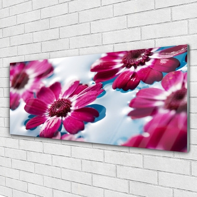 Quadro vetro acrilico Fiori sull'acqua Natura